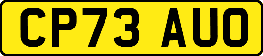 CP73AUO