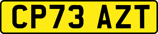 CP73AZT
