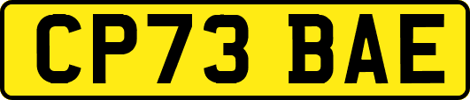 CP73BAE
