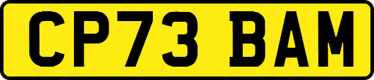 CP73BAM