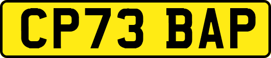 CP73BAP
