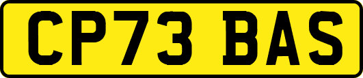 CP73BAS