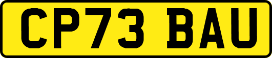 CP73BAU