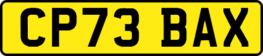 CP73BAX