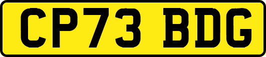 CP73BDG