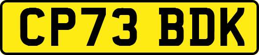 CP73BDK