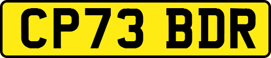CP73BDR