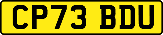 CP73BDU