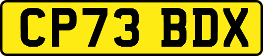 CP73BDX