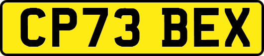 CP73BEX
