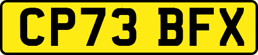 CP73BFX