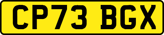 CP73BGX