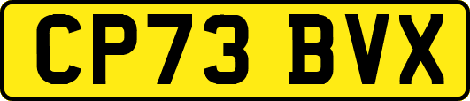 CP73BVX