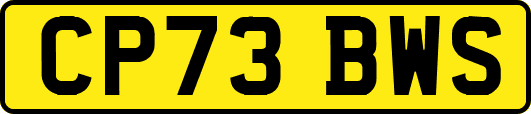 CP73BWS