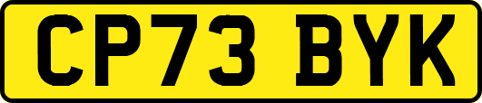CP73BYK