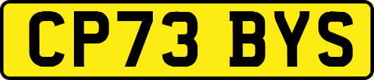 CP73BYS