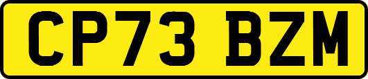 CP73BZM
