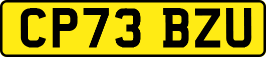 CP73BZU