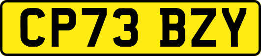 CP73BZY