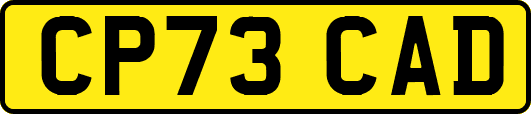 CP73CAD
