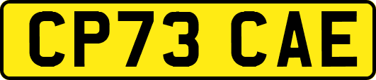 CP73CAE