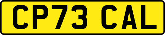 CP73CAL