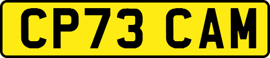 CP73CAM