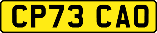 CP73CAO
