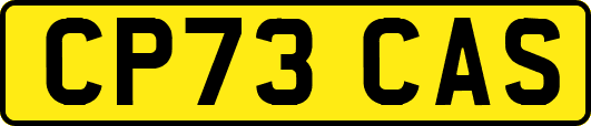 CP73CAS