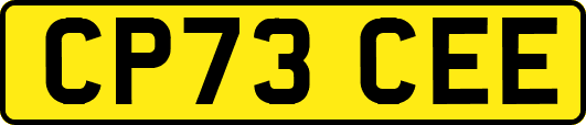CP73CEE