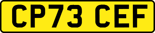 CP73CEF