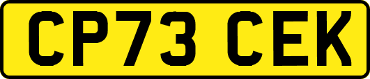 CP73CEK