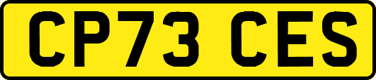 CP73CES