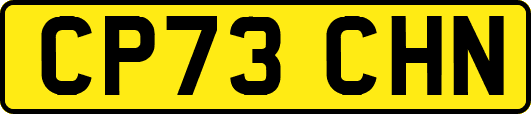 CP73CHN