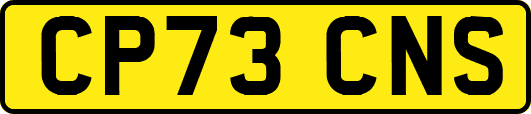 CP73CNS