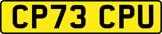 CP73CPU