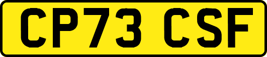 CP73CSF
