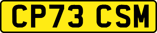 CP73CSM