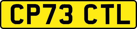 CP73CTL