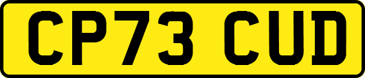 CP73CUD