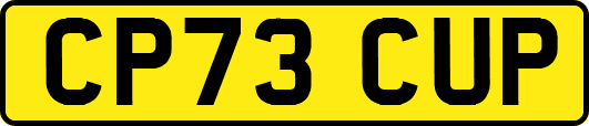 CP73CUP