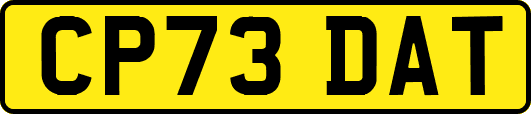 CP73DAT