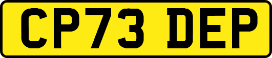 CP73DEP