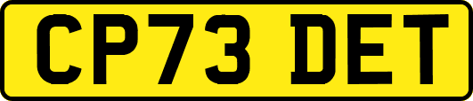CP73DET