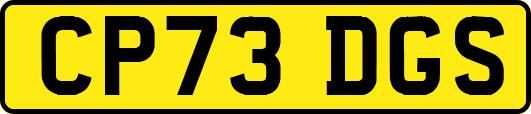 CP73DGS