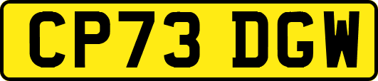 CP73DGW