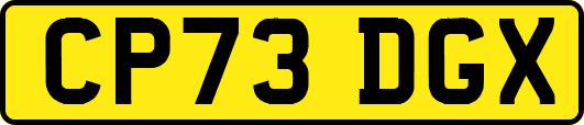 CP73DGX