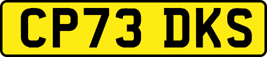 CP73DKS