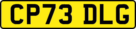 CP73DLG
