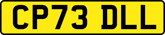 CP73DLL